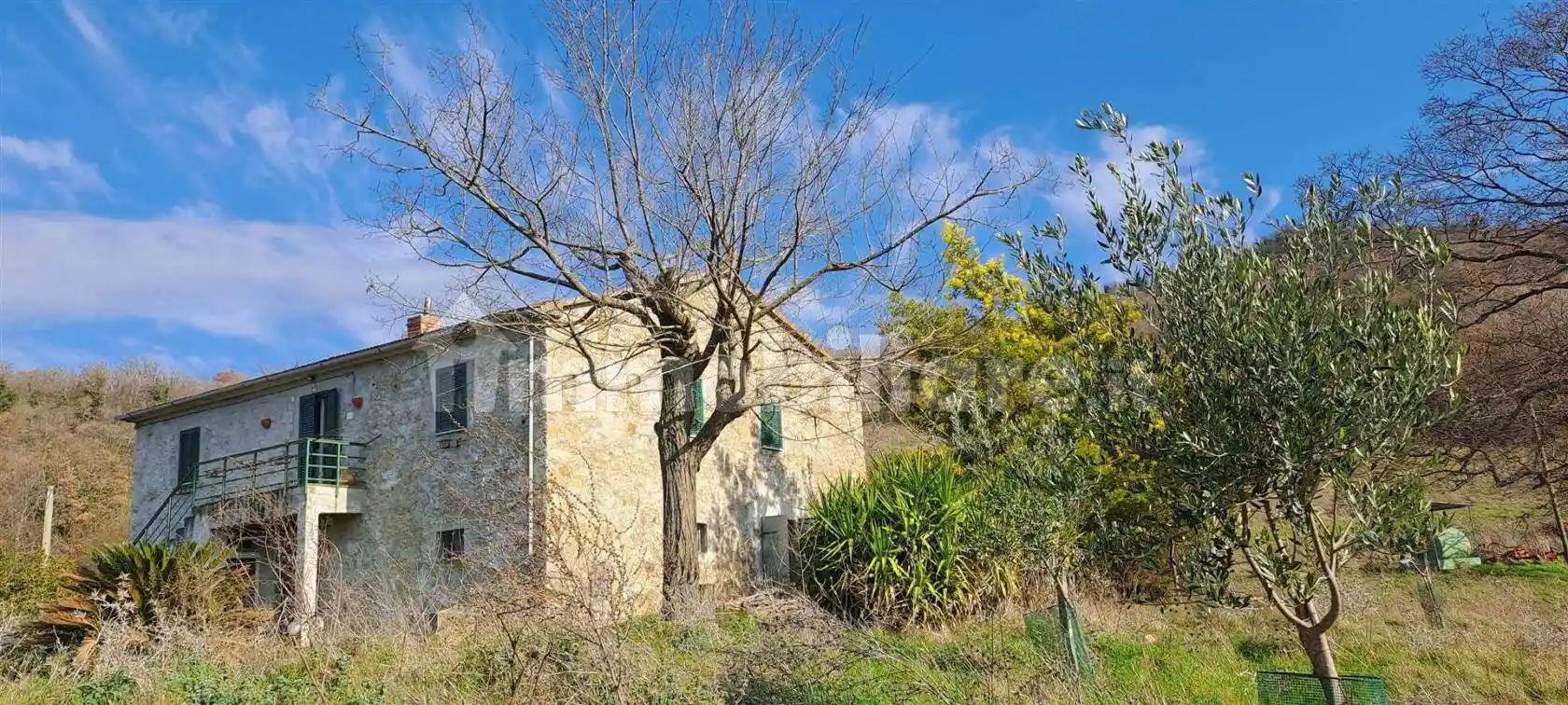 Rustico - Casale in vendita a Scansano