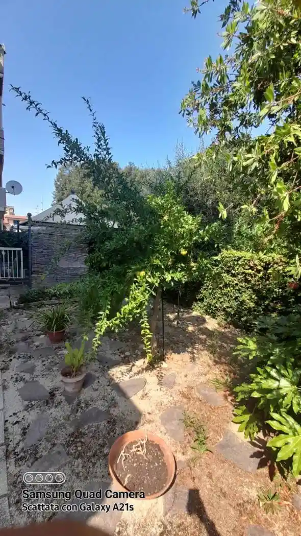 Appartamento via Michetti 6, Centro, Alba Adriatica - foto 5