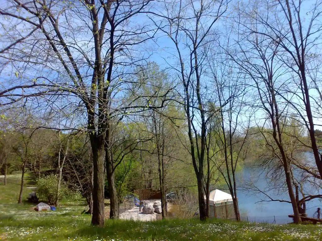 Villa unifamiliare viale Palmanova, Cussignacco - Paparotti, Udine - foto 4