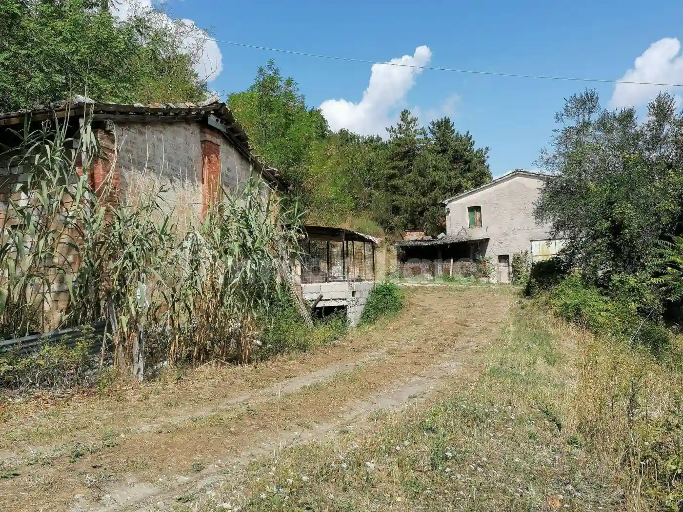 Rustico - Casale - foto 4