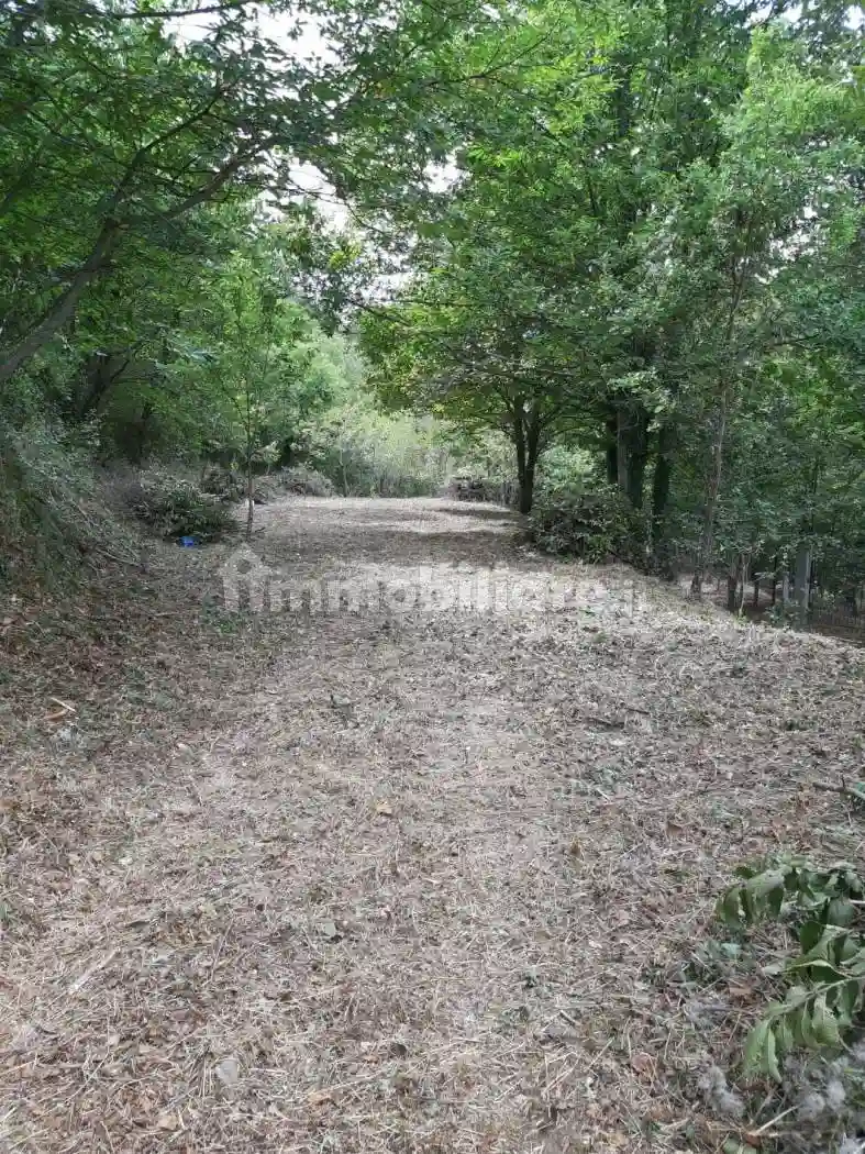 Villa unifamiliare via A. Maxia, Centro, Aritzo - foto 4