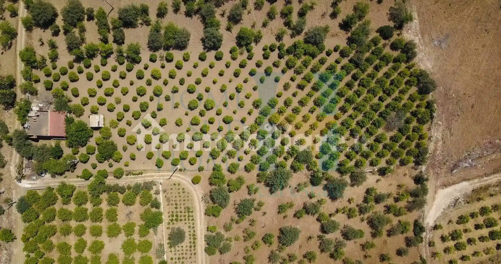 Rustico - Casale in vendita a Noto