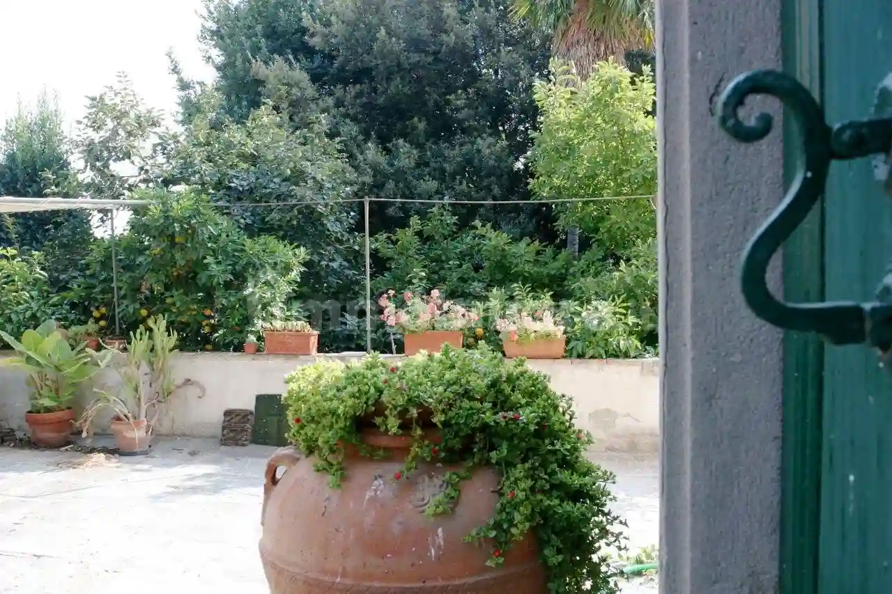 Palazzo - Edificio - foto 3