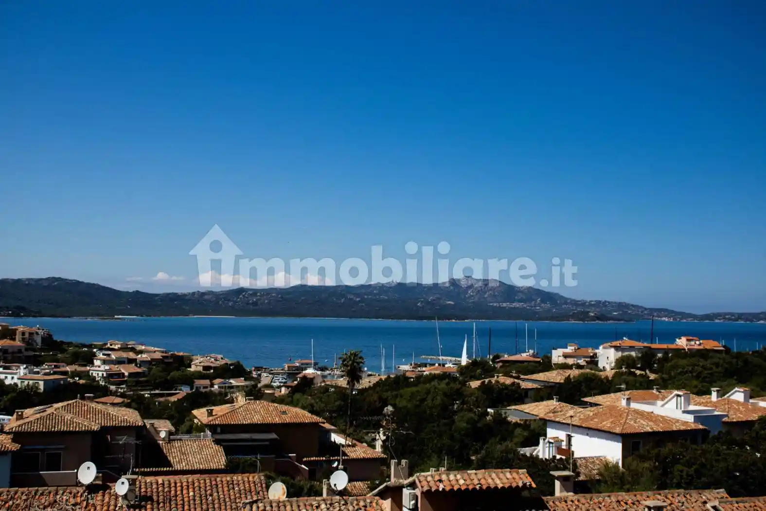 Appartamento in affitto a Olbia