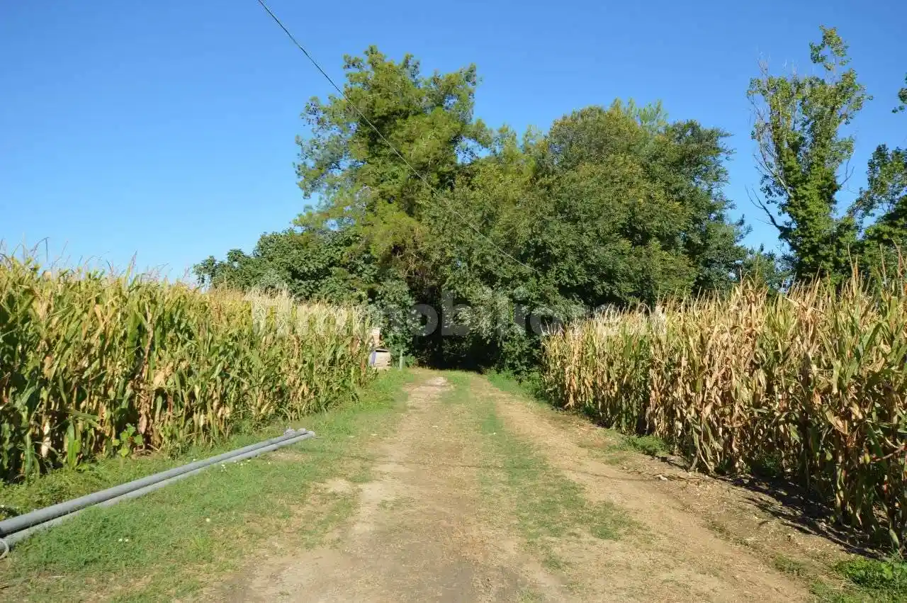 Villa unifamiliare, da ristrutturare, 120 m², Coppetella, Jesi - foto 5