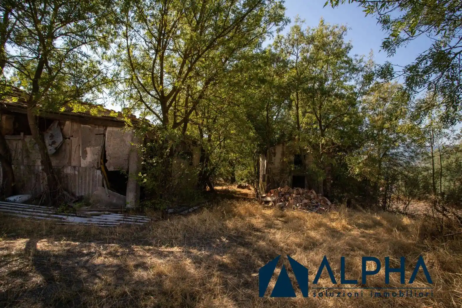 Rustico via Casalbono, Luzzena, Cesena - foto 4