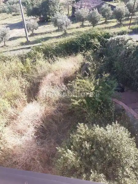 Palazzo - Edificio in Vendita - foto 4