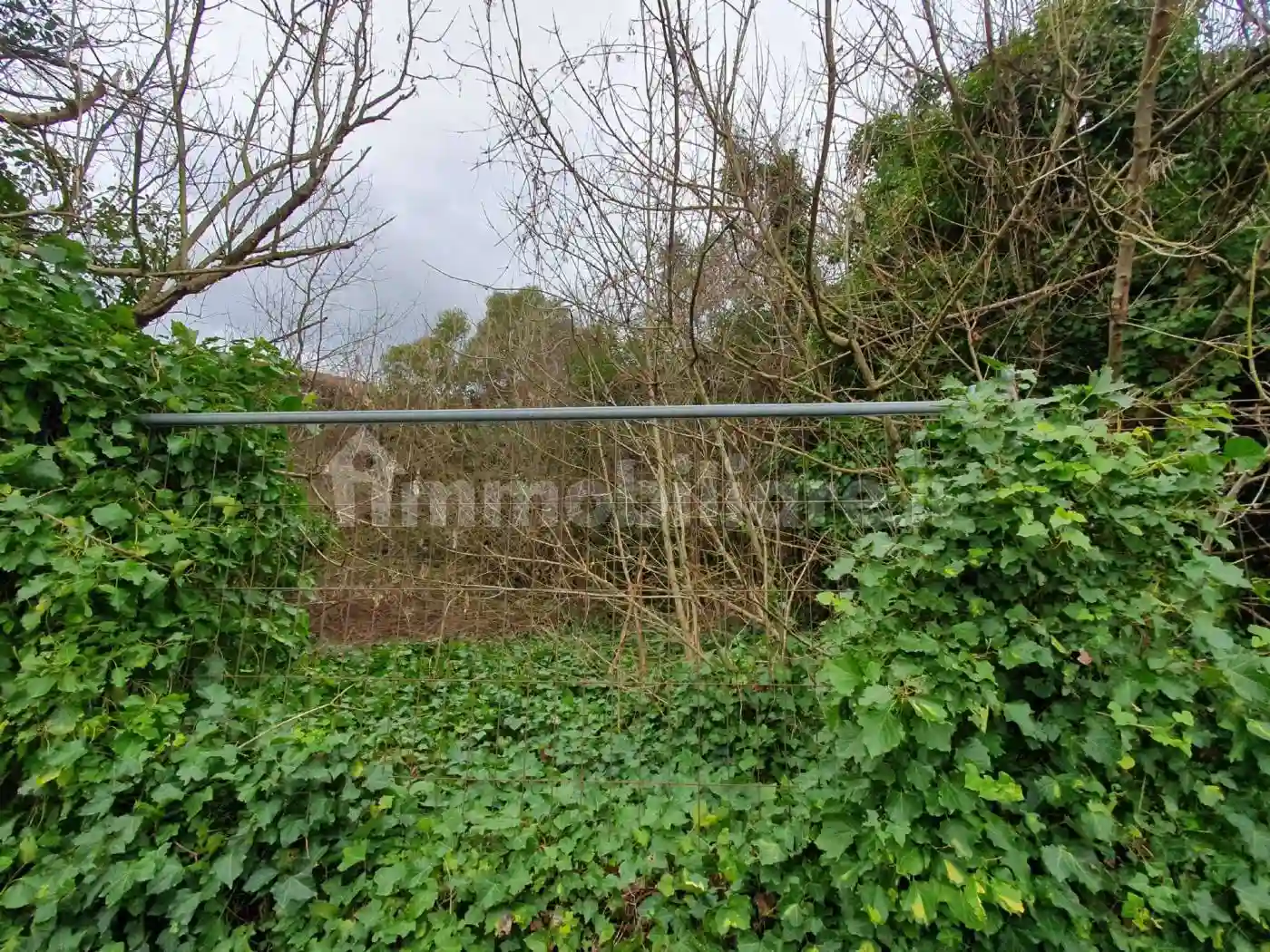 Palazzo - Edificio - foto 5