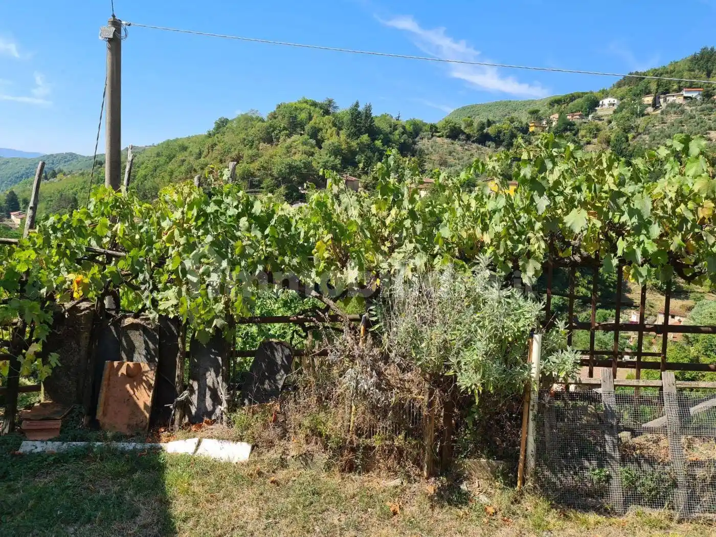 Rustico - Casale in vendita a Vicchio