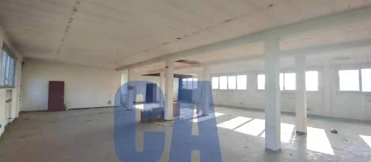 Palazzo - Edificio - foto 5