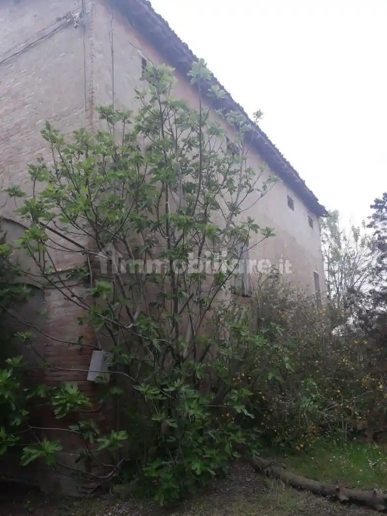 Rustico - Casale in vendita a Modena