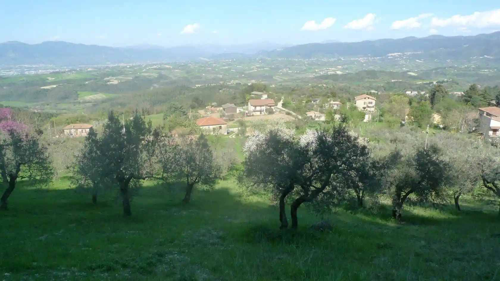 Rustico - Casale in vendita a Narni