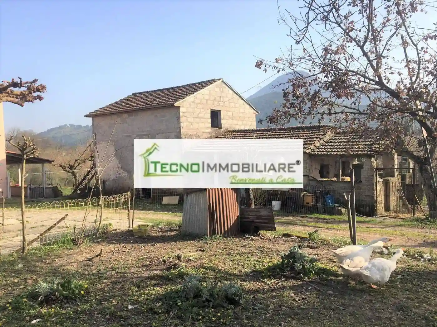 Rustico - Casale - foto 2