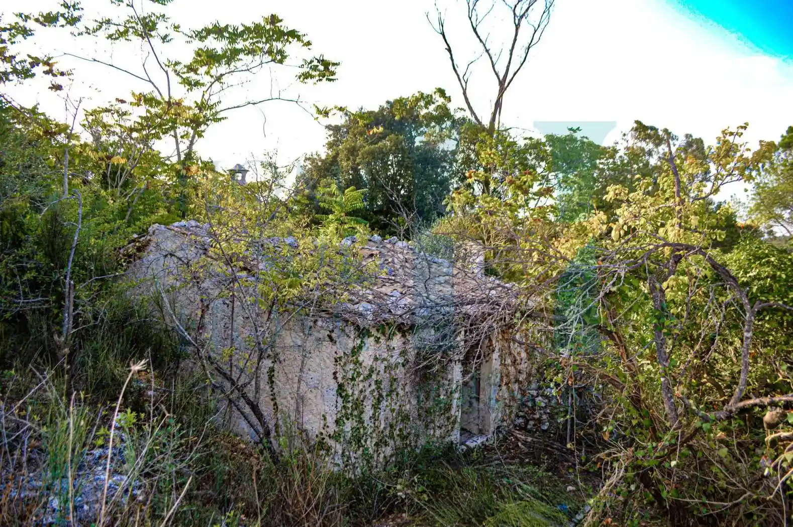 Rustico - Casale in vendita a Noto