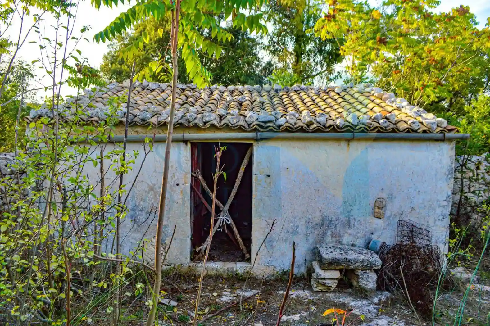 Rustico - Casale - foto 2