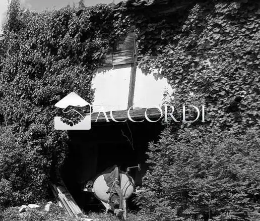 Rustico via Cogolà, Caniezza, Cavaso del Tomba - foto 4