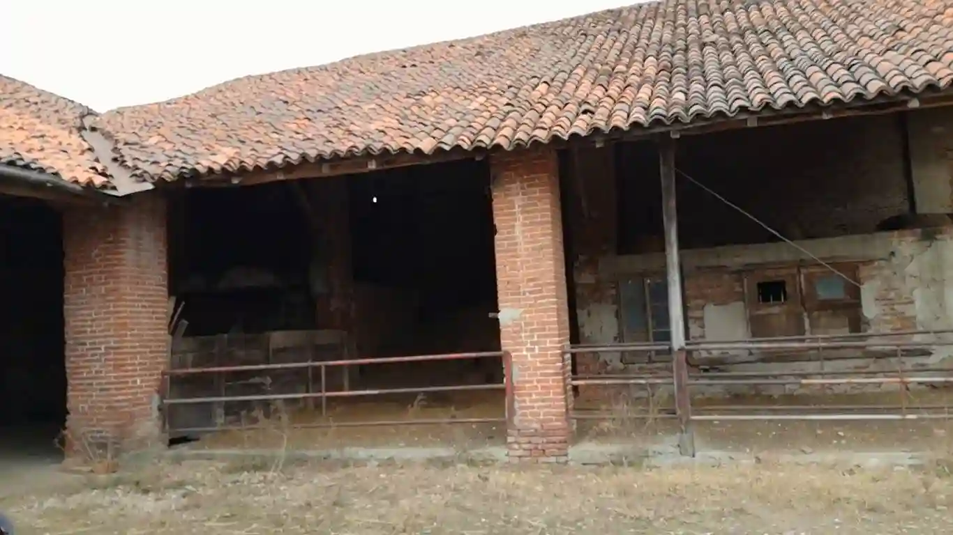 Palazzo - Edificio - foto 3