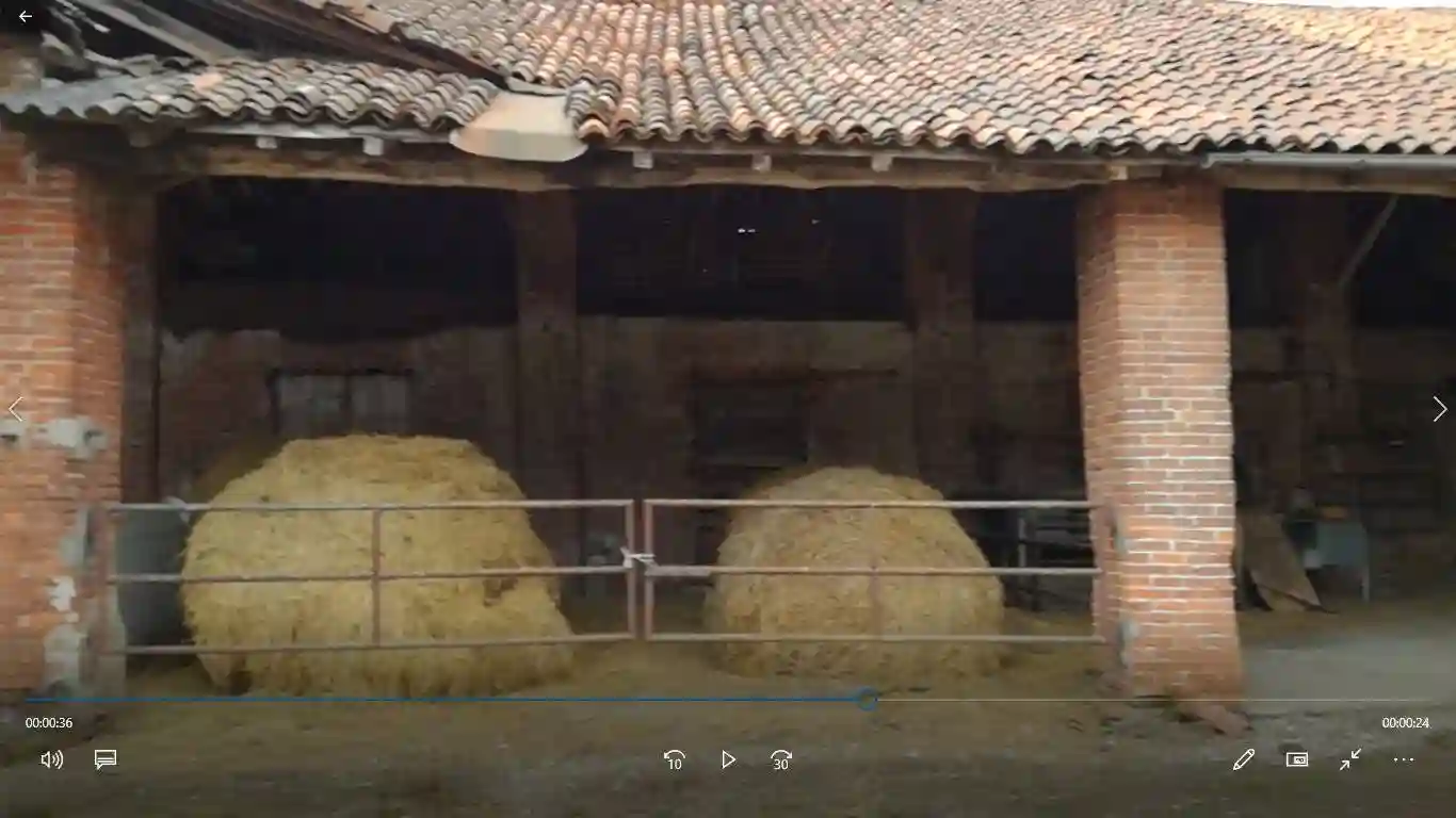 Palazzo - Edificio - foto 4