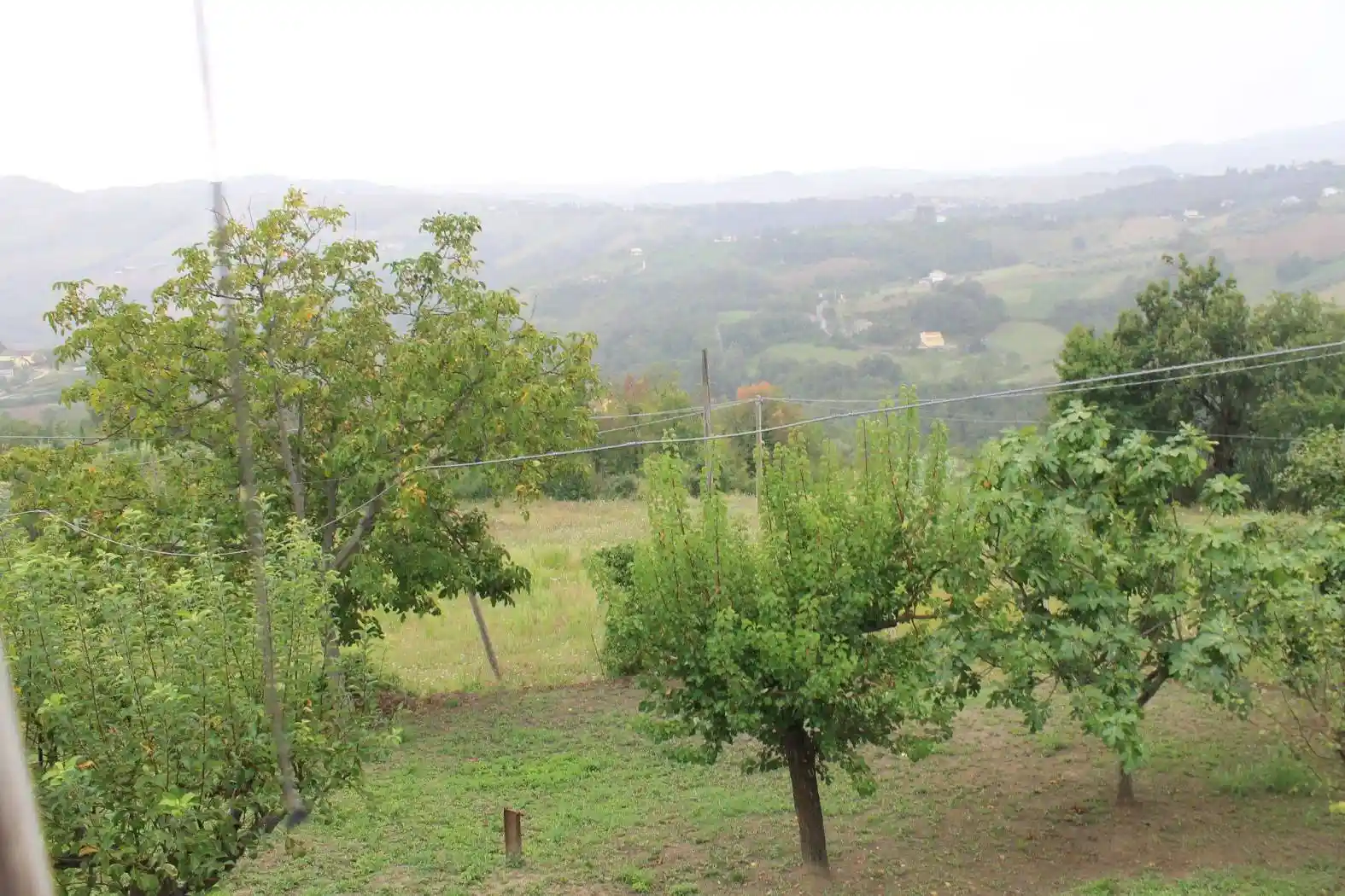 Casale Sp52, Roccafinadamo, Penne - foto 4