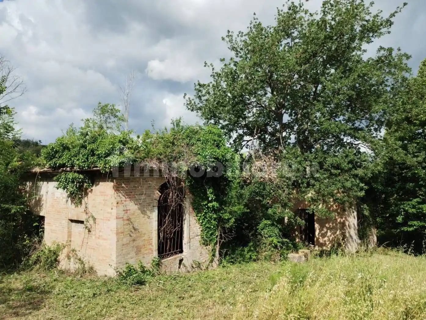 Rustico - Casale in vendita a Cupramontana