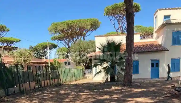 Palazzo - Edificio - foto 3