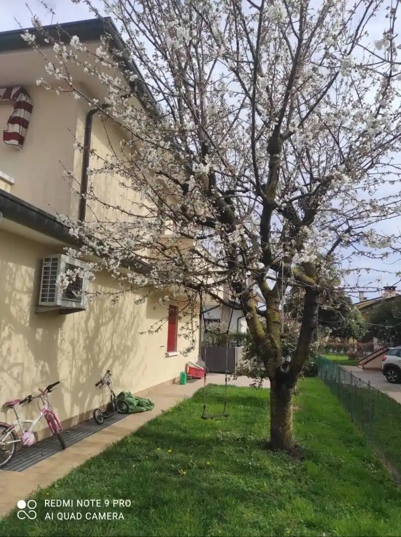 Villa unifamiliare via Selvanese 11, Zelarino, Venezia - foto 5