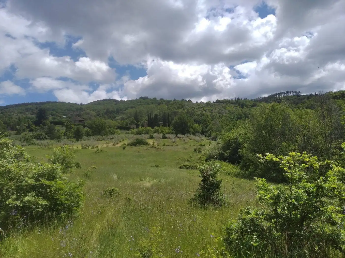 Rustico - Casale in vendita a Arezzo