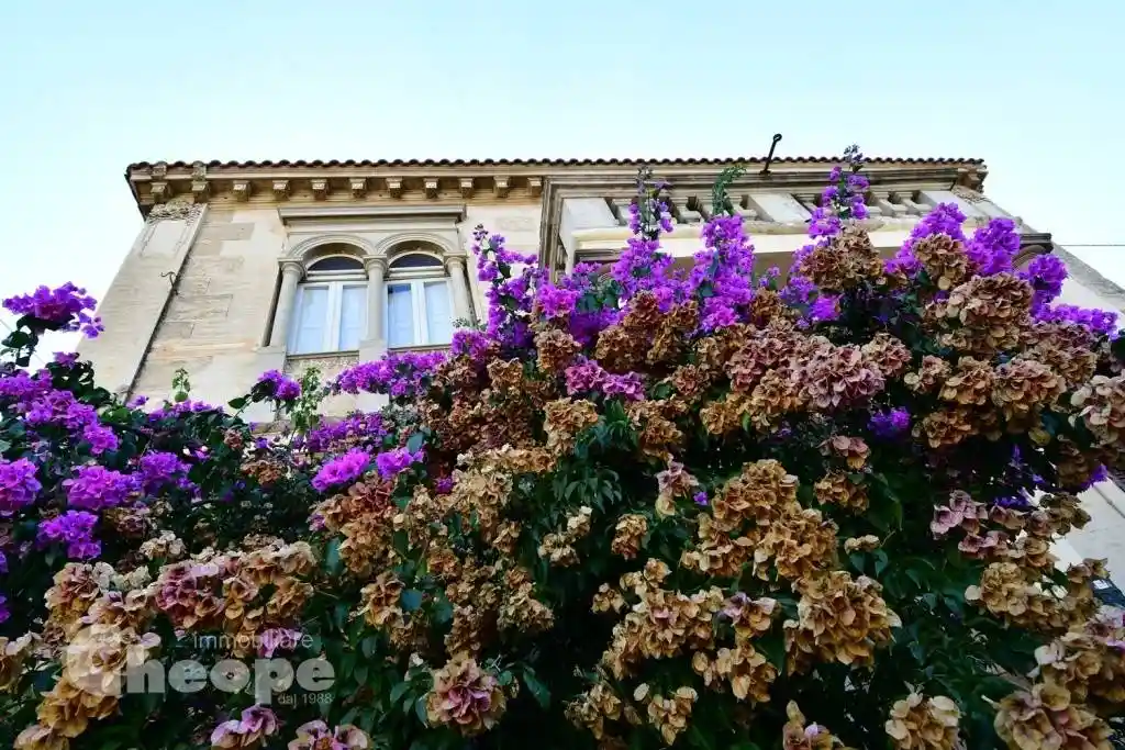 Villa plurifamiliare via Maragona, Torre de' Passeri - foto 5