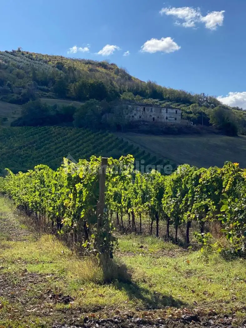 Rustico - Casale in vendita a Controguerra