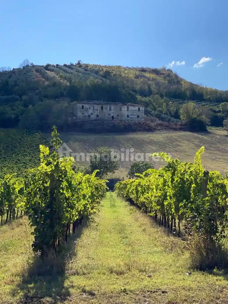 Casa colonica Contrada Piane Tronto, Controguerra - foto 2