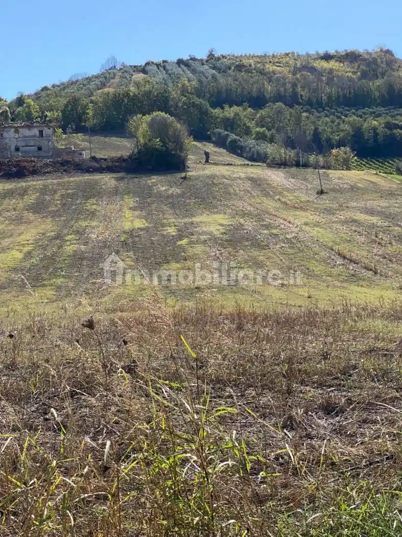 Casa colonica Contrada Piane Tronto, Controguerra - foto 4