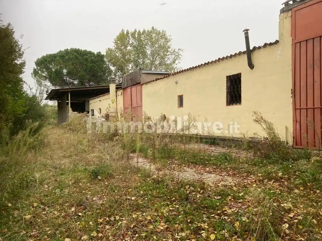 Rustico - Casale in vendita a San Zenone degli Ezzelini