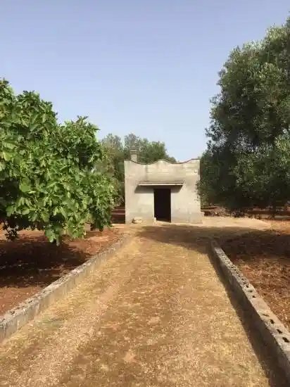 Rustico - Casale in vendita a Ceglie Messapica