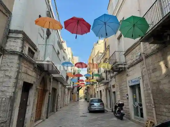 Palazzo - Edificio - foto 3