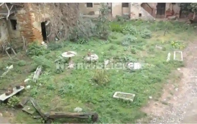 Palazzo - Edificio - foto 5