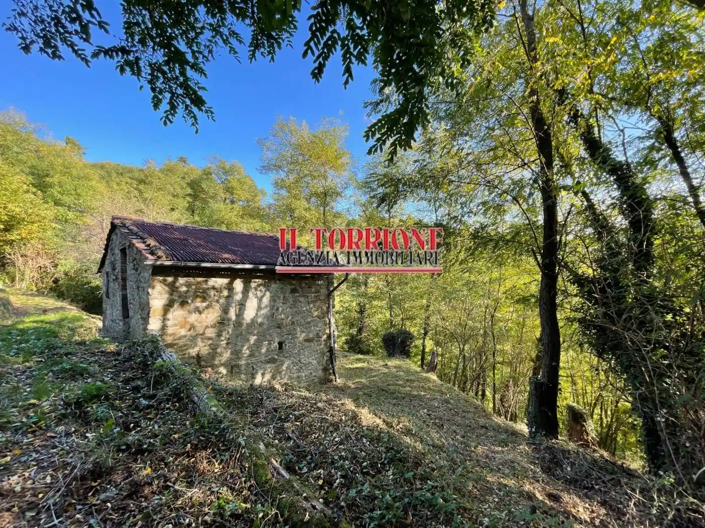 Rustico - Casale in vendita a Pescia