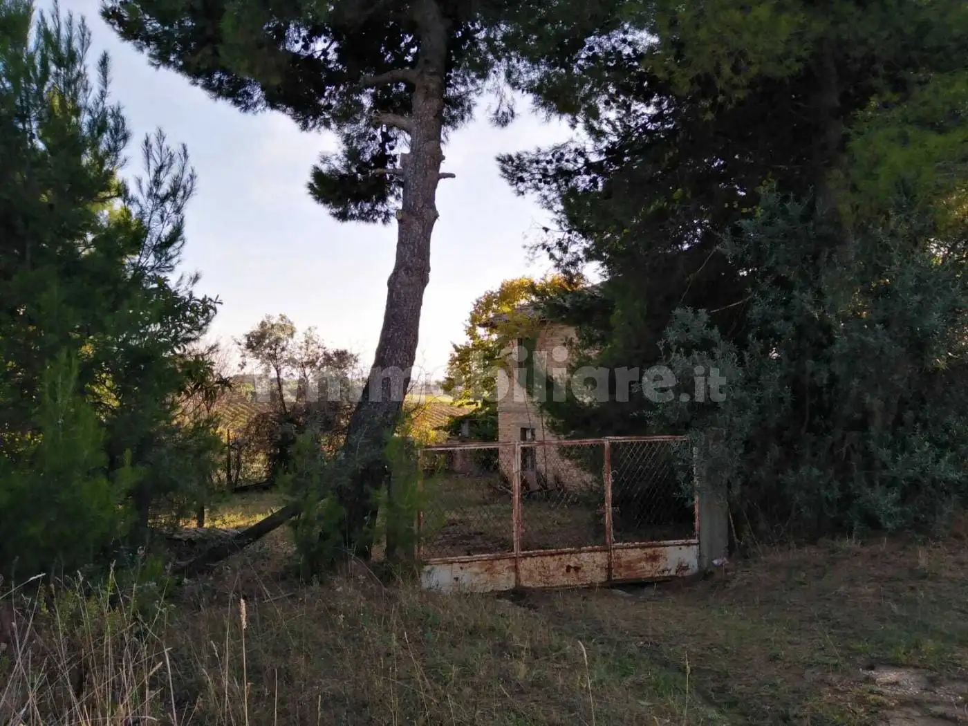 Rustico - Casale in vendita a Corropoli