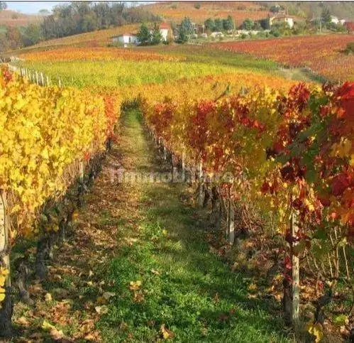 Rustico - Casale in vendita a Cesena