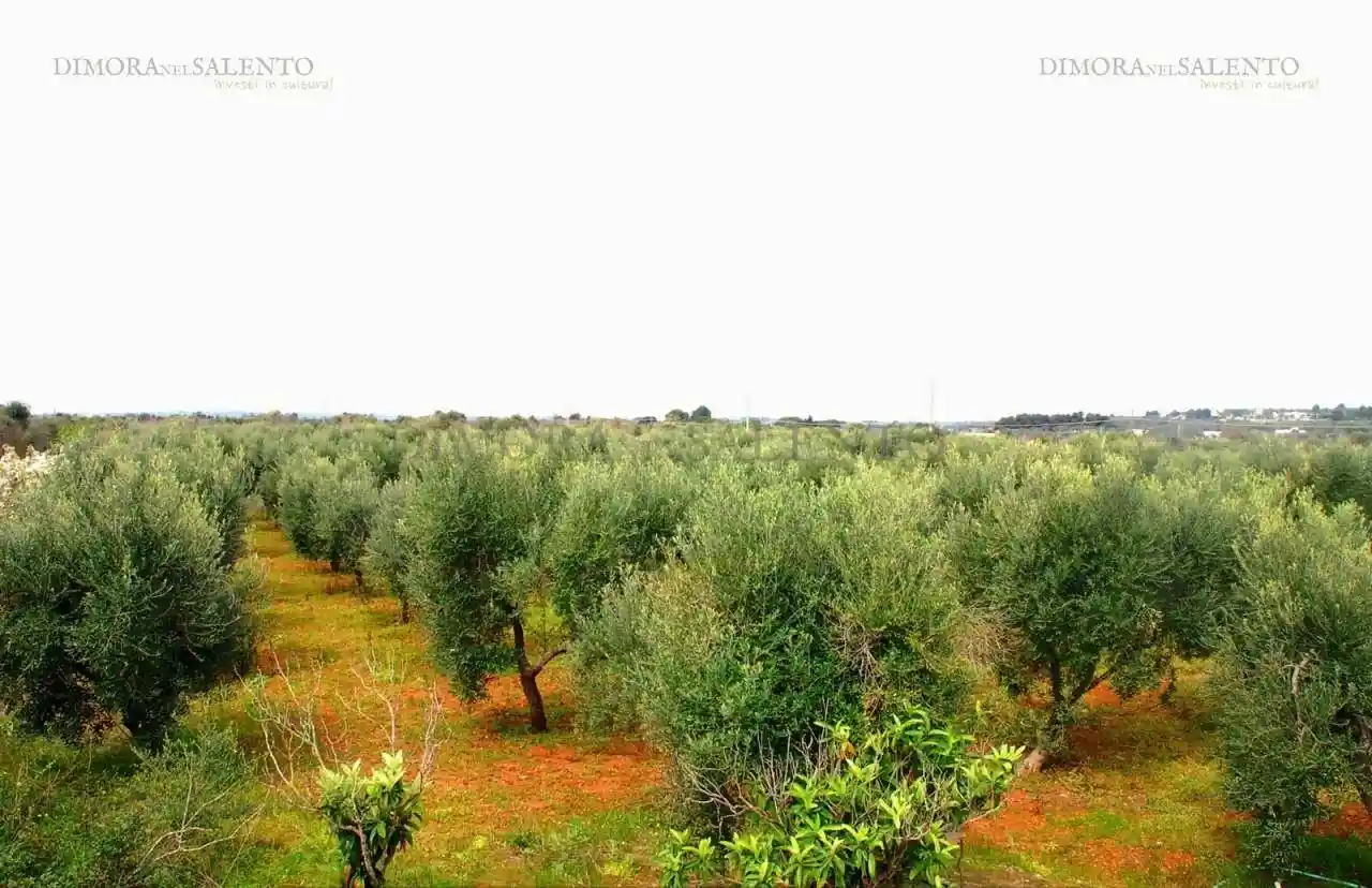 Casa indipendente in vendita a Salve