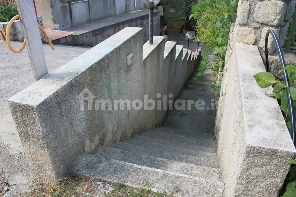 Rustico Contrada Olivella, Belvedere Marittimo - foto 5