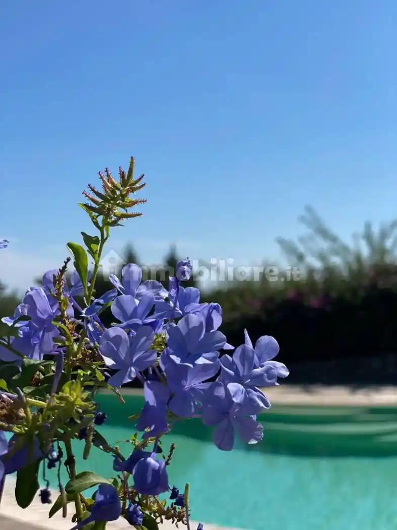 Villa in vendita a Arzachena