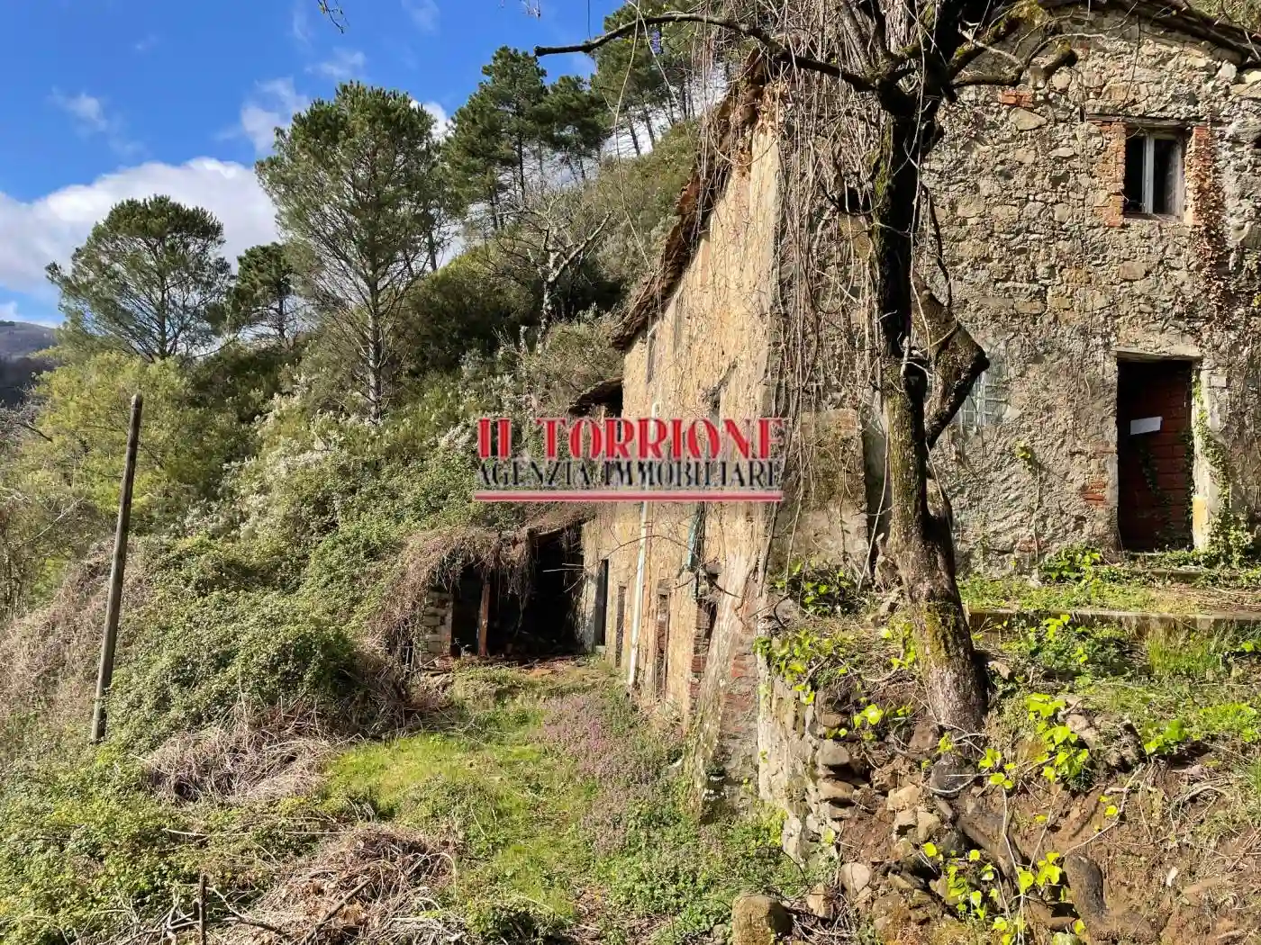 Rustico - Casale - foto 5