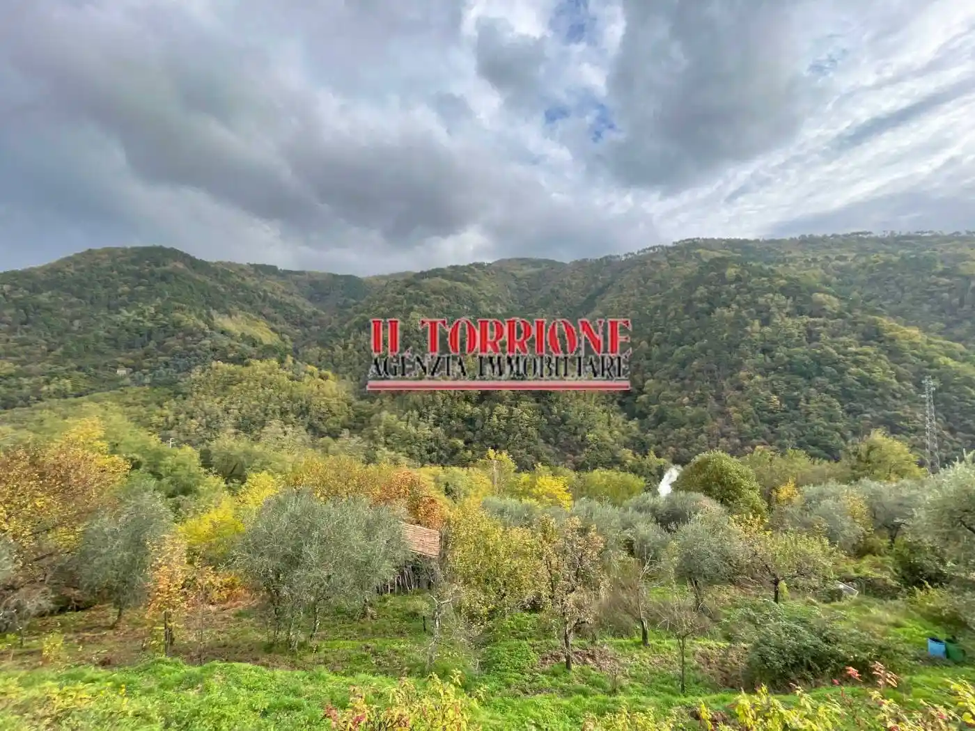 Rustico - Casale in vendita a Villa Basilica