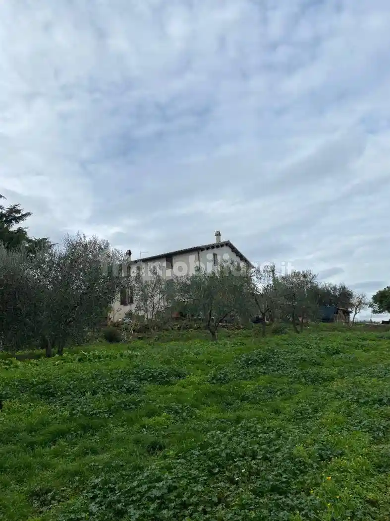 Rustico - Casale in vendita a Civitella d'Agliano