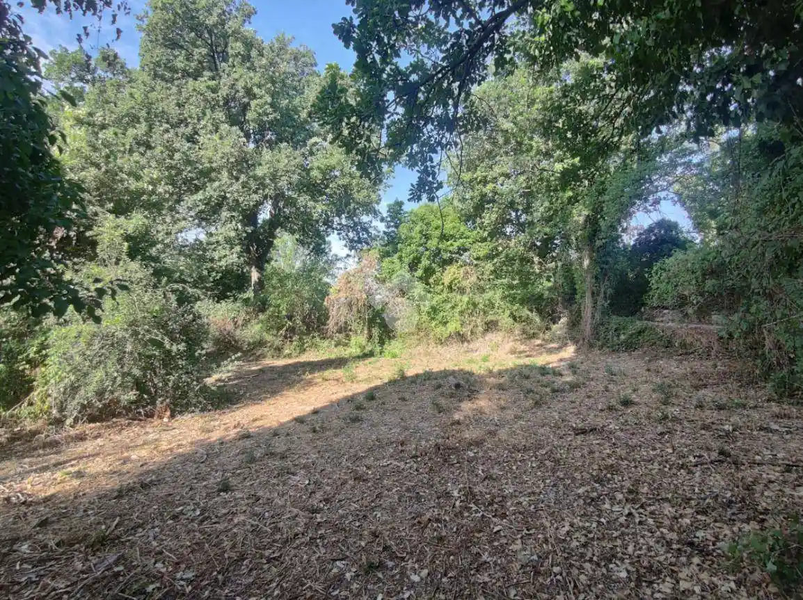 Villa unifamiliare via san michele, San Michele, Sassuolo - foto 3