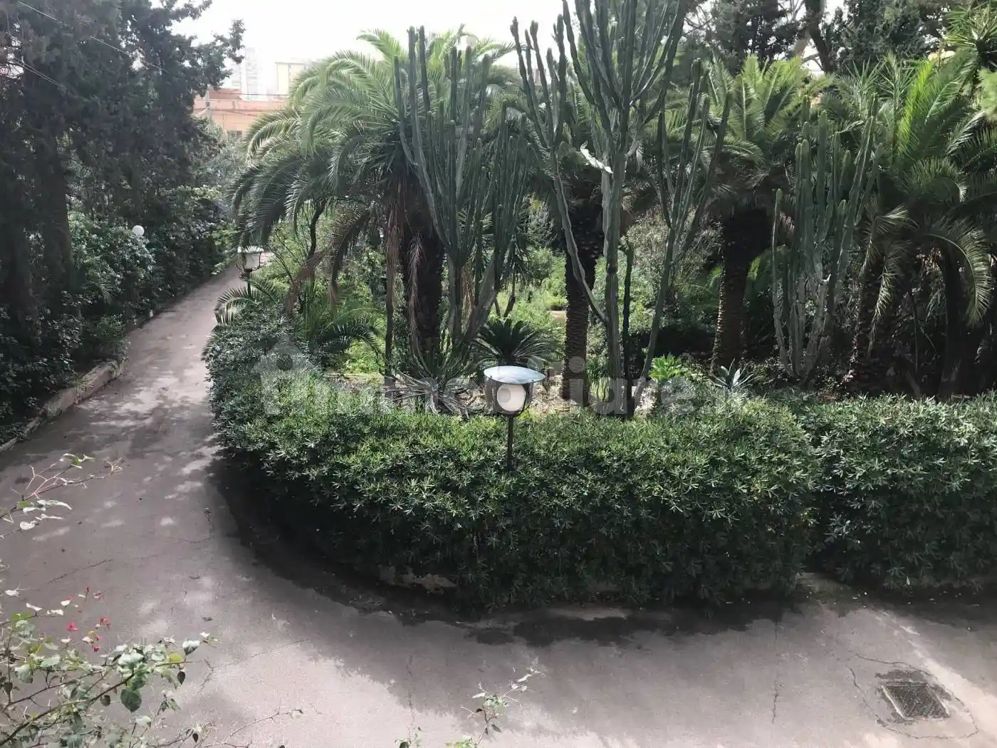 Appartamento in villa via Pietro Bonanno 26, Montepellegrino, Palermo - foto 3