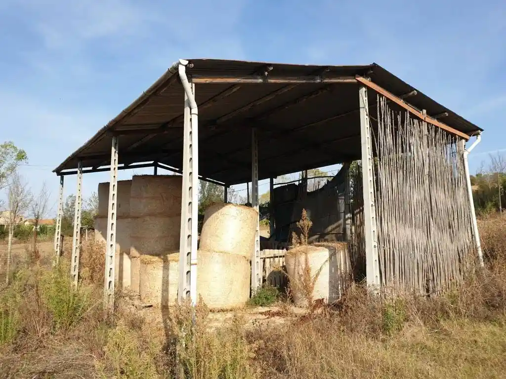 Casale Strada Provinciale Fondovalle Salinello, Sant'Omero - foto 4