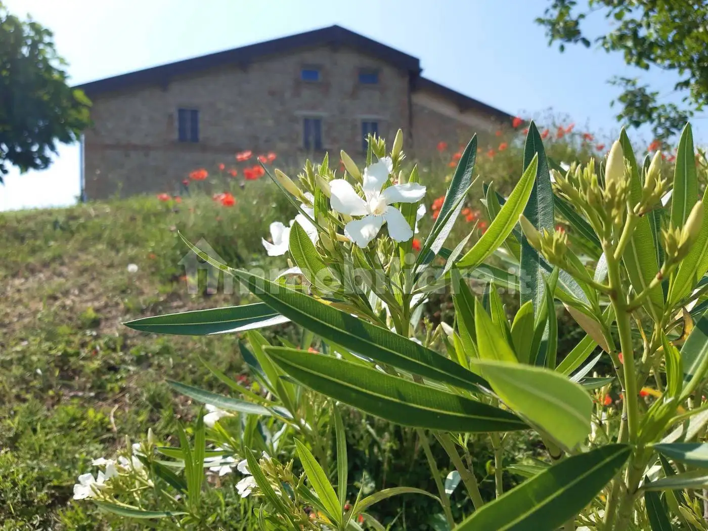 Rustico - Casale in affitto a Noceto
