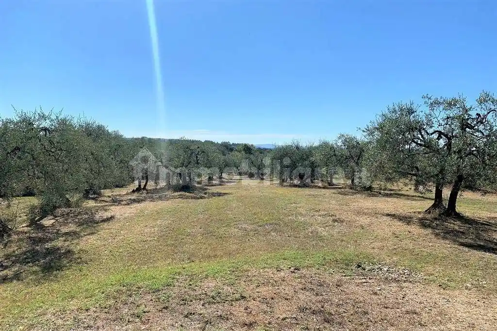 Casale via Lucardese,, Pino, Certaldo - foto 3