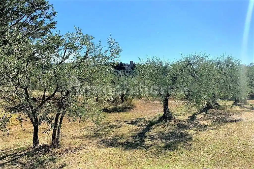 Casale via Lucardese,, Pino, Certaldo - foto 4